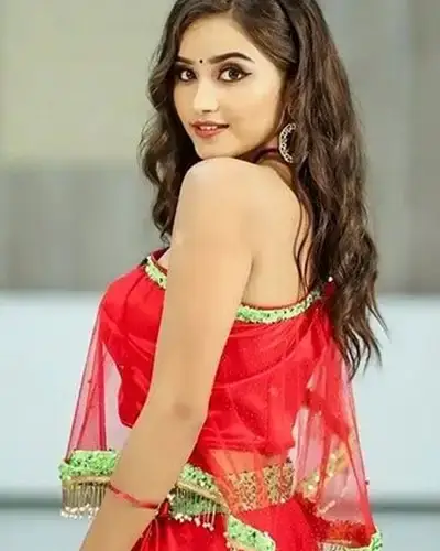 Call Girls Service Mannargudi